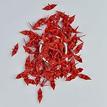Amazon.com: FINGERINSPIRE 摺紙鶴繪畫模板12 x 12 英吋(約30.0